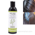 Limpieza de la caspa Natural para el cabello Té de té Oil Champú